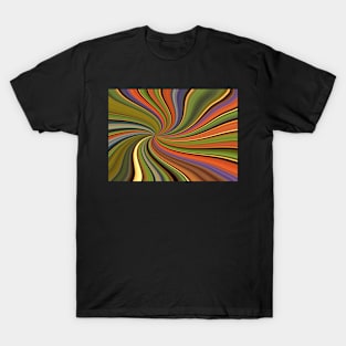 Nature's Pinwheel T-Shirt